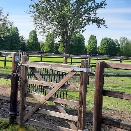 Vakantieboerderij Aardenhof เซเวนัม ภายนอก รูปภาพ